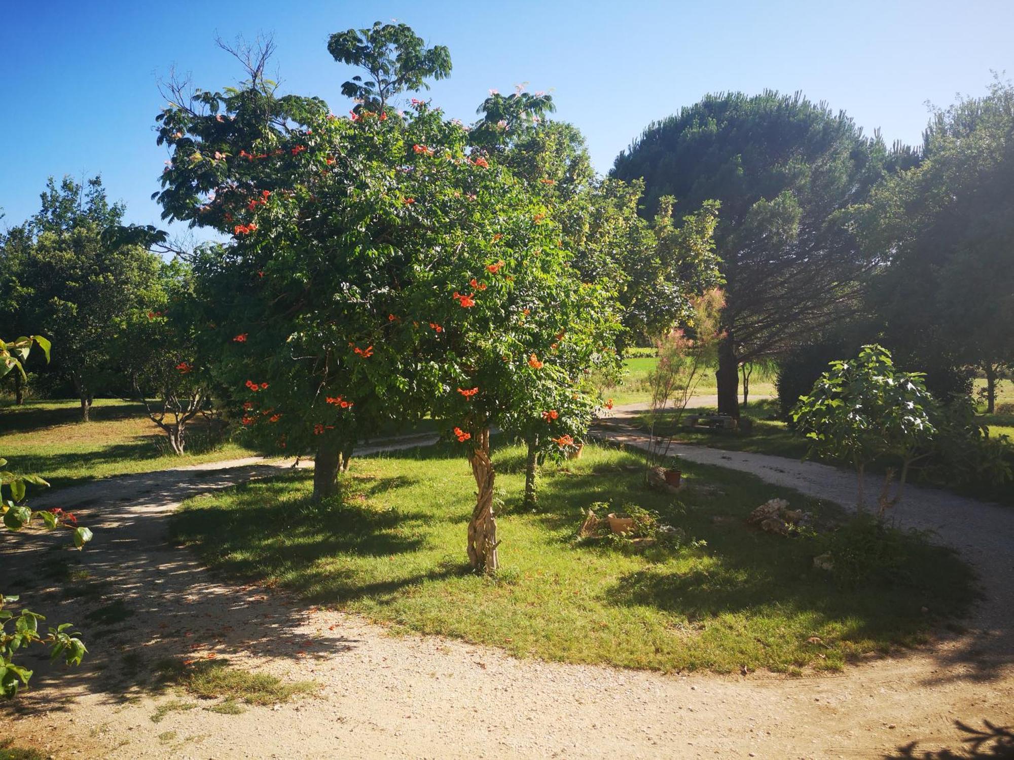 Mado Hotel Verfeuil Bagian luar foto